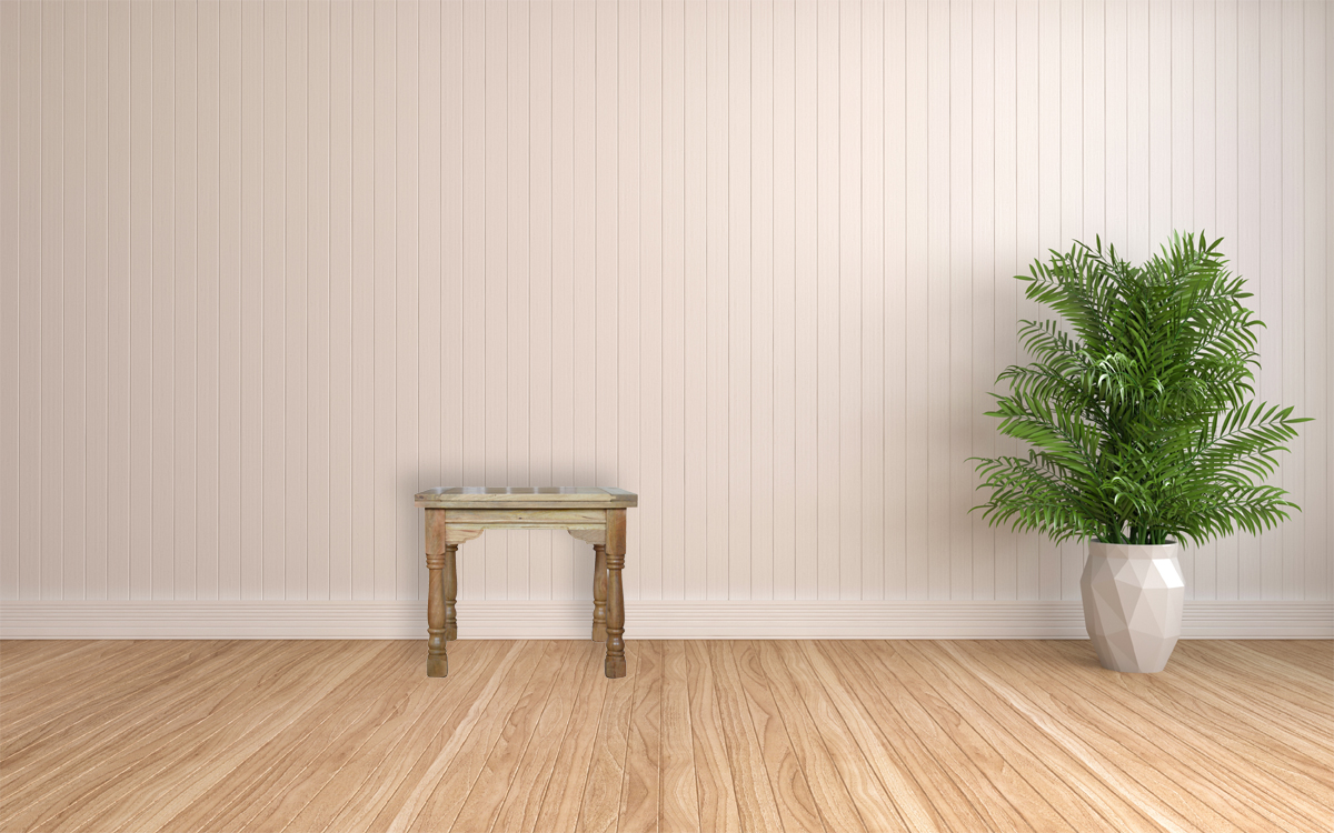 white interior with plant. 3d illustration