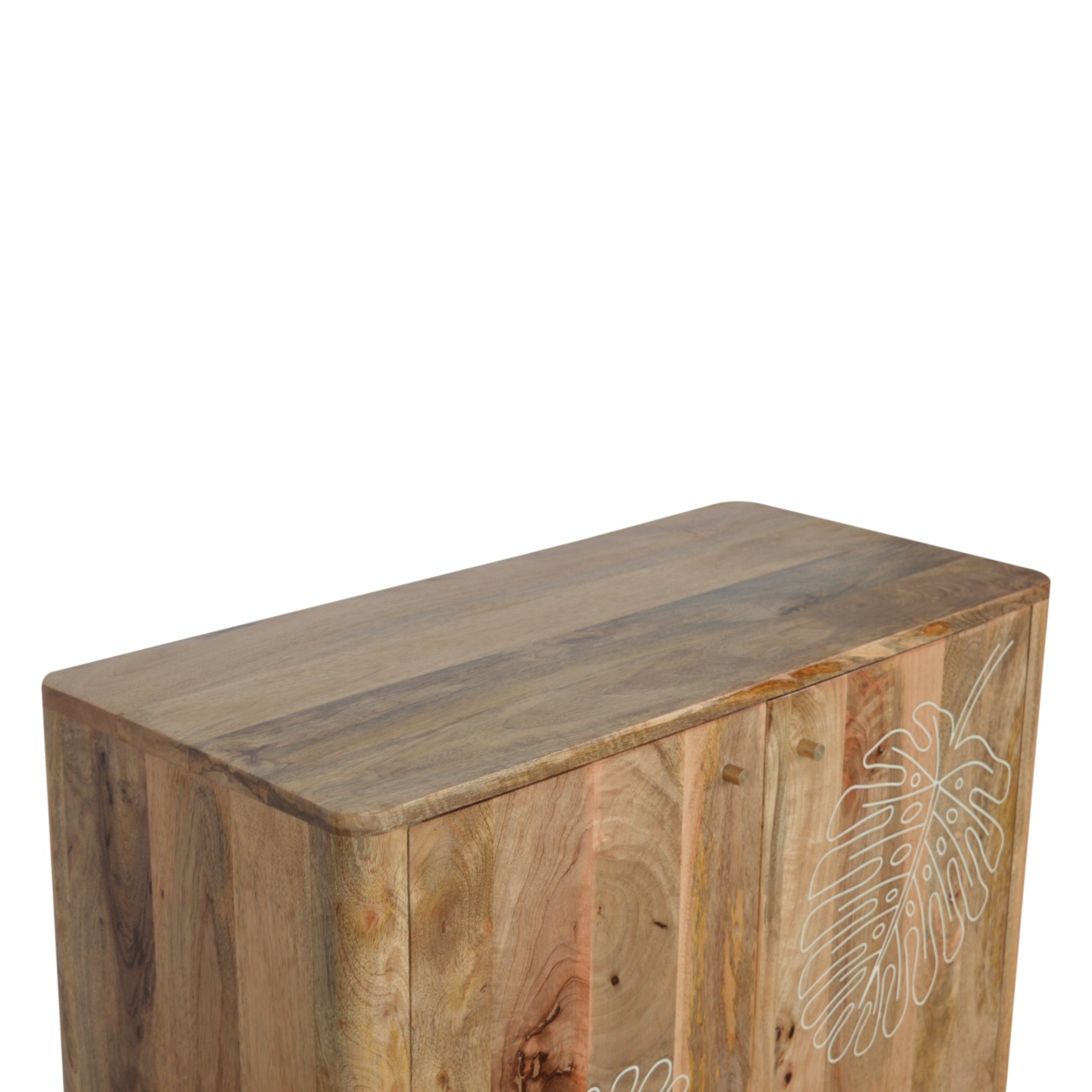 Lead Embossed Resin Cabinet - Image 3