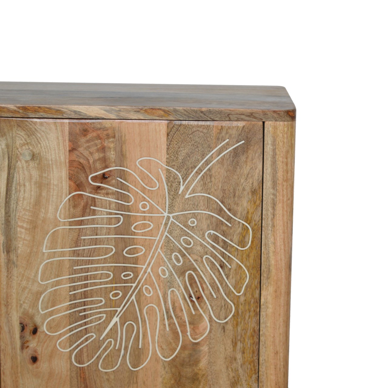 Lead Embossed Resin Cabinet - Image 4