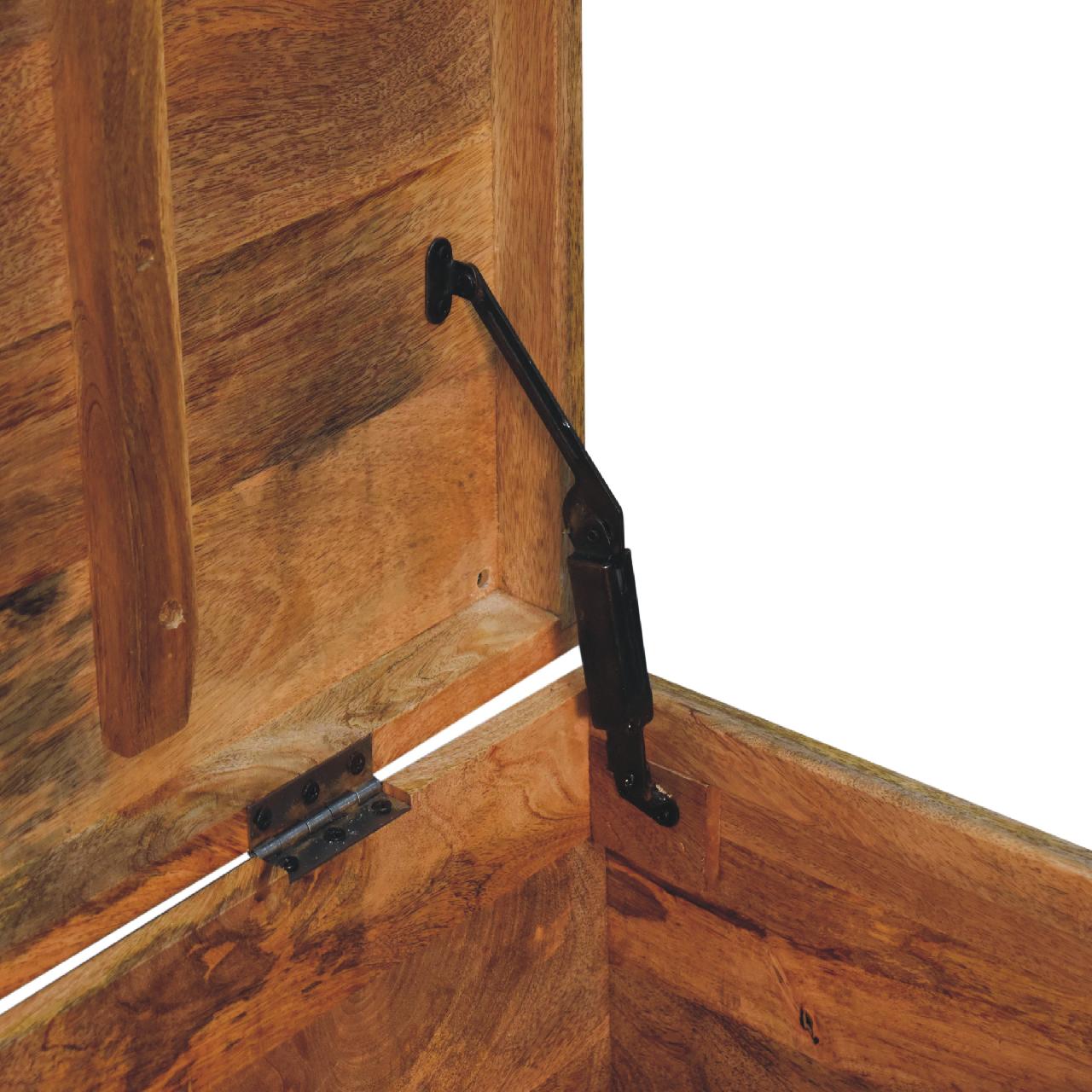 Buffalo Hide Oak-ish Storage Trunk - Image 9